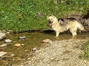 20 L'acqua rinfrescante e dissetante non manca